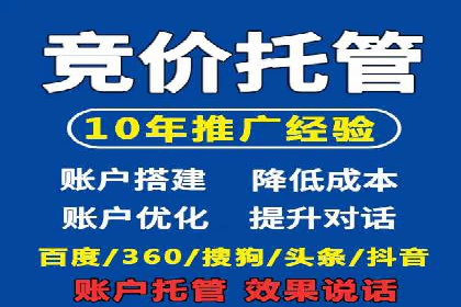 SEM运营公司案例解析：精准广告投放技巧
